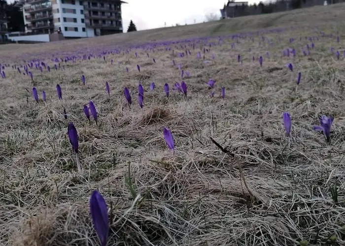 Donovaly Triangel A10 Lägenhet *